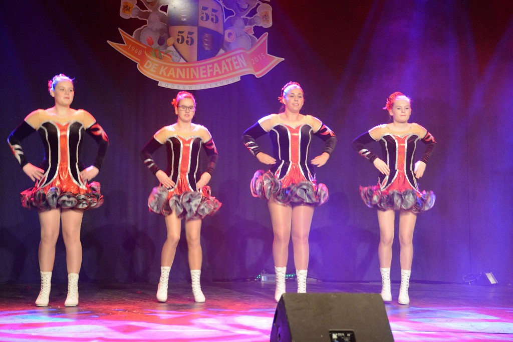 ../Images/Dansmarieke festival 2015 238.jpg